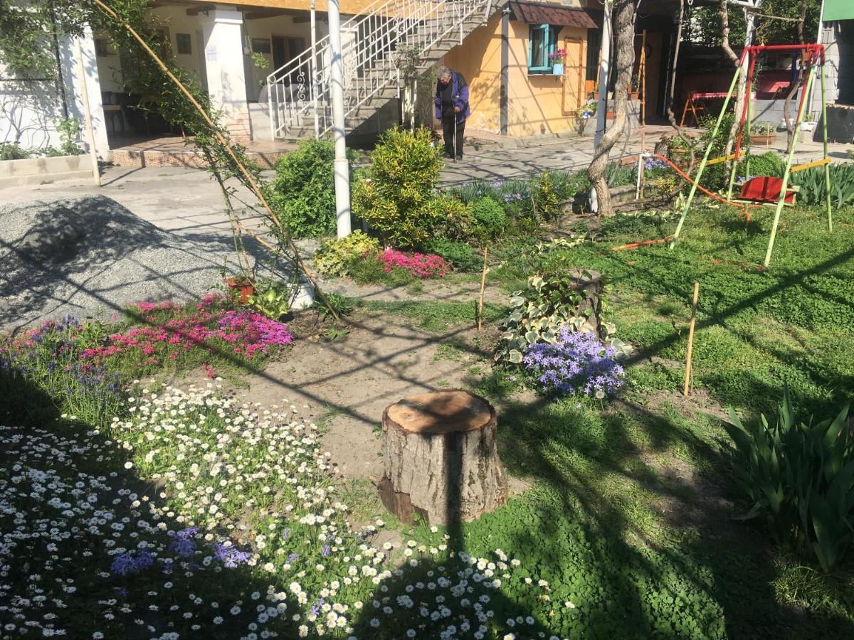 Guesthouse Aisi In Лаґодехі Екстер'єр фото