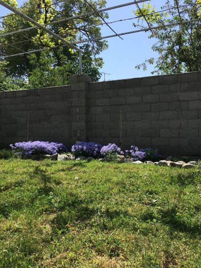 Guesthouse Aisi In Лаґодехі Екстер'єр фото